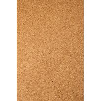 Korkkilattia Floor Experts LiCo Mono, lakattu, 10,5mm