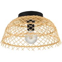 Kattovalaisin Eglo Aunsby, 40W, Ø37cm, rottinki/musta