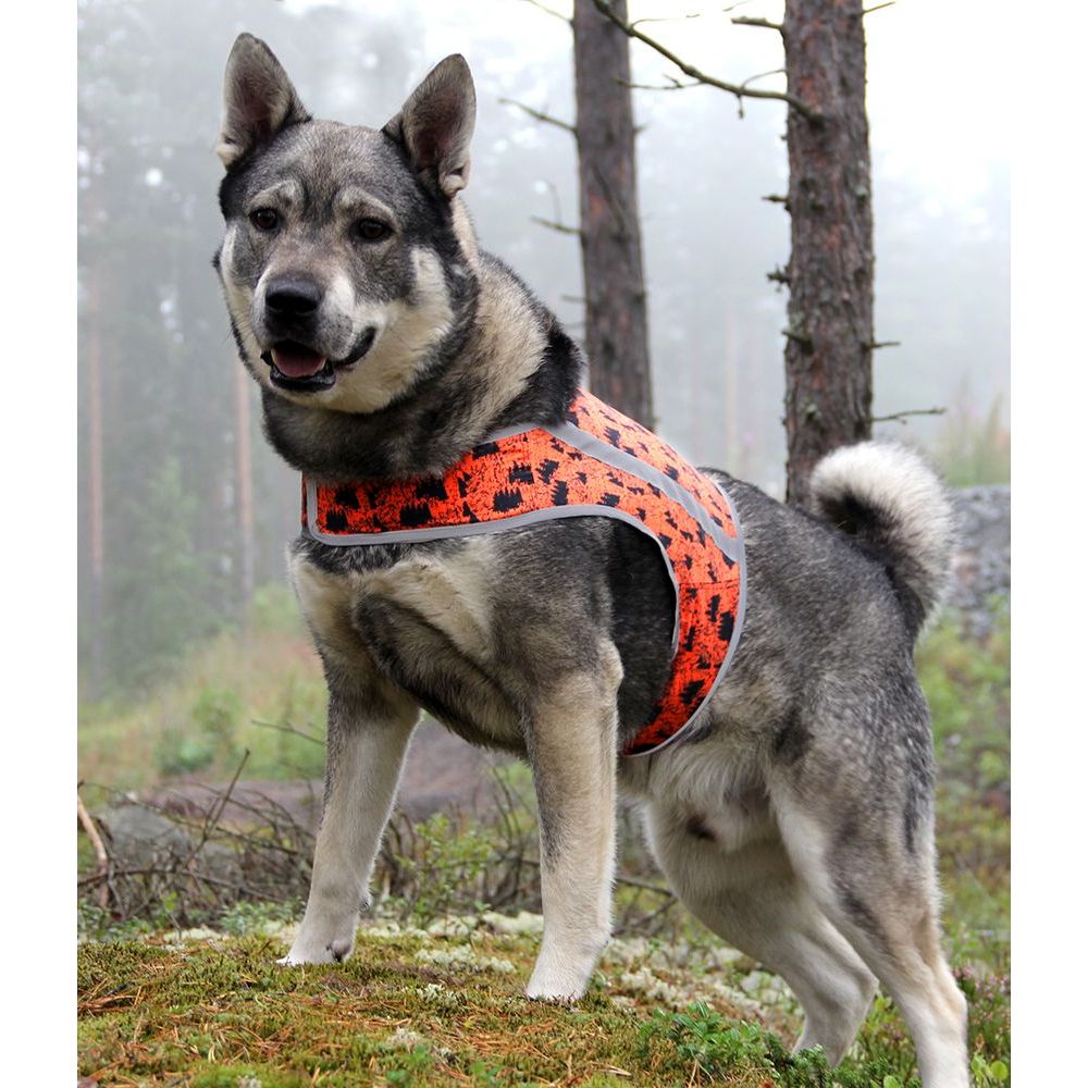 Koiran huomioliivi Brava ROKKA, XXXL 85-95cm