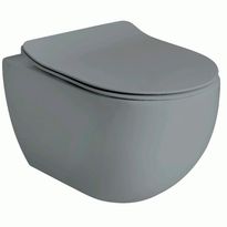 Seinä-WC-istuin Lavabo Glomp pehmeästi sulkeutuvalla istuinkannella, huuhtelukaulukseton, mattaharmaa, Verkkokaupan poistotuote