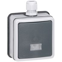 Valaistu vaihtopainike Legrand Plexo 66 6 A IP66 pinta, harmaa