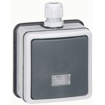 Kaksinapainen kytkin Legrand Plexo 66 10 A IP66 pinta kontrollivalolla, harmaa