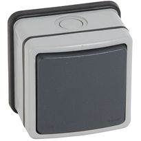 Kaksinapainen kytkin Legrand Plexo 66 20 A IP66 pinta, harmaa