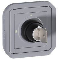 Avainkytkinmekanismi Legrand Plexo Ronis 455 3-asentoinen 3 A IP55, harmaa