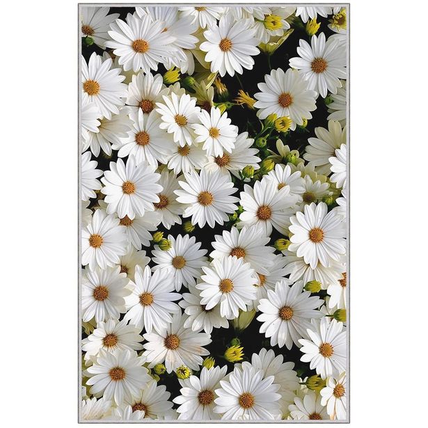 Kynnysmatto Linento HMNT521, 50x80cm, valkoinen