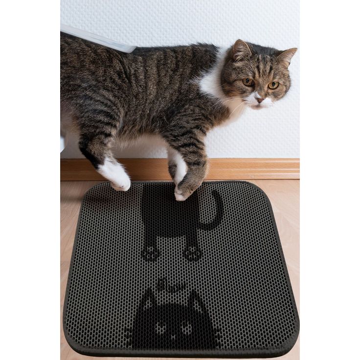 Kissanhiekkamatto Linento Bounce Cat Mat, musta