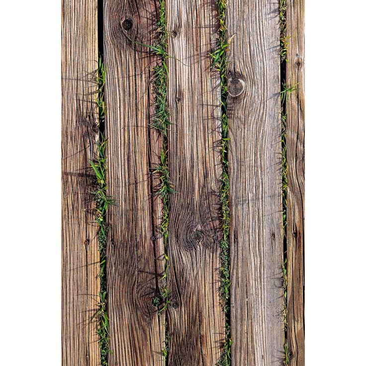 Kynnysmatto Linento Wookece221, 50x80cm, ruskea