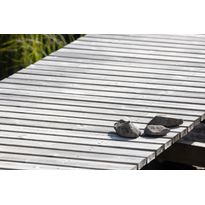 Rima Arctic Outdoor SHP, 42x42mm, douglaskuusi, puuvalmis