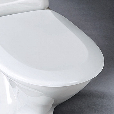 WC istuimen Kannen Vaihto WC istuimen Kannen Vaihto