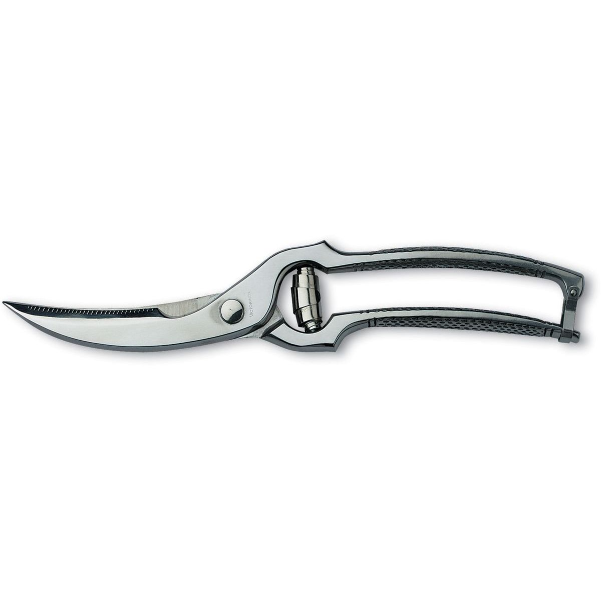 Lintusakset Victorinox, 25cm, jousella