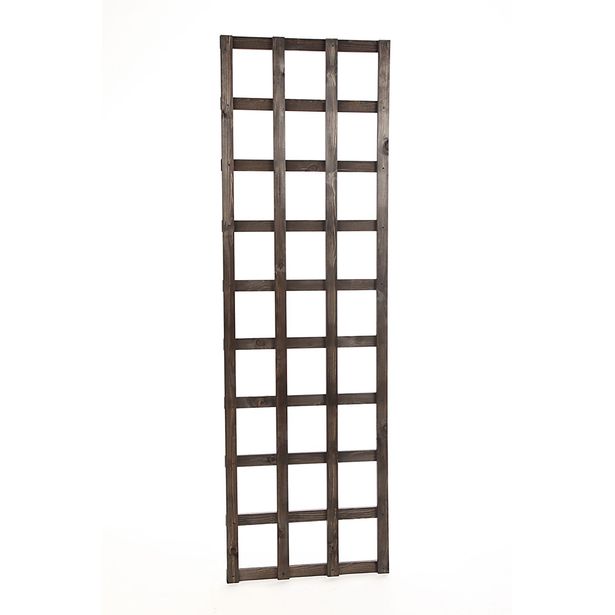 Köynnösritilä Miljöökoriste, 179x60cm, harmaa