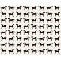 Tapetti Marimekko Musta tamma, vaalea, 0.7x10.05m