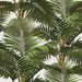 Paneelitapetti Mindthegap Jardin Tropical, 1.56x3m (MTG-WP20104)