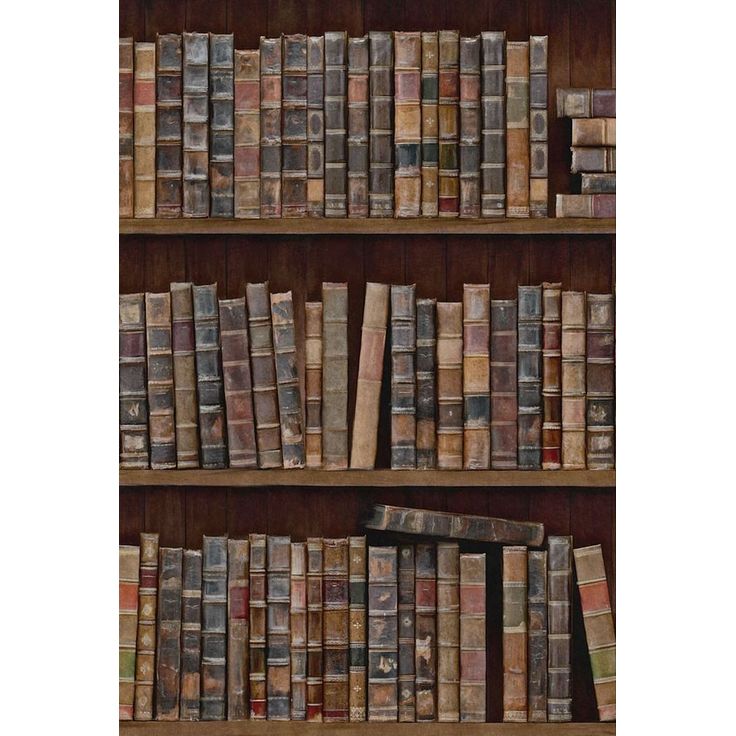 Paneelitapetti Mindthegap Book Shelves, 1.56x3m