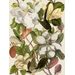 Paneelitapetti Mindthegap Magnolia Taupe, 1.56x3m (MTG-WP20152)