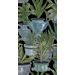 Paneelitapetti Mindthegap Echeveria, 1.56x3m (MTG-WP20163)