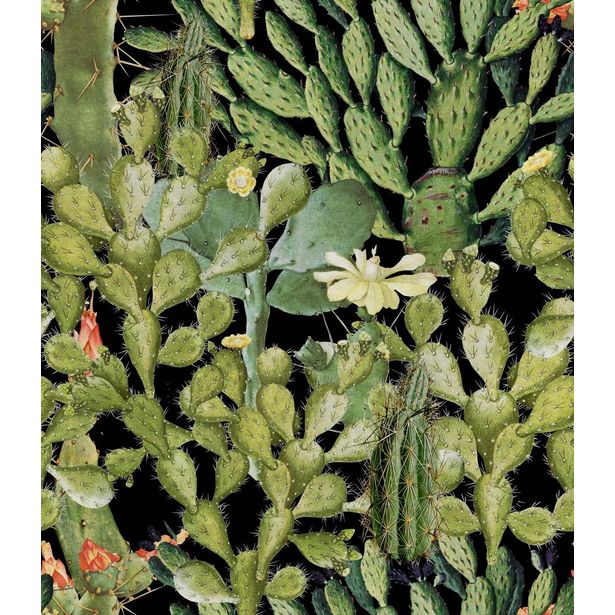 Paneelitapetti Mindthegap Opuntia Anthracite, 1.56x3m