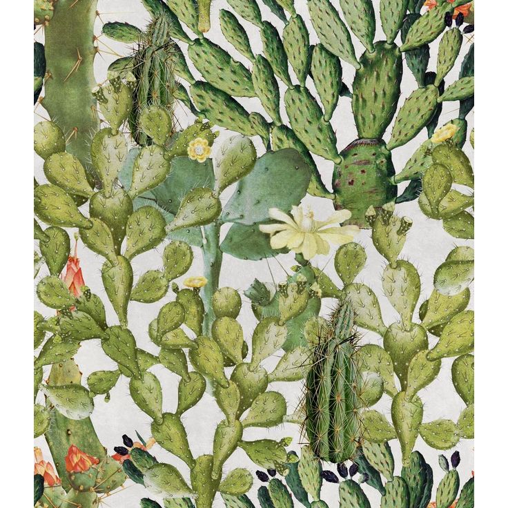 Paneelitapetti Mindthegap Opuntia, 1.56x3m