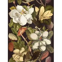 Paneelitapetti Mindthegap Magnolia, 1.56x3m