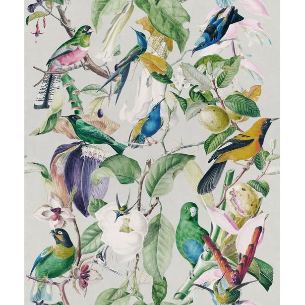 Paneelitapetti Mindthegap Tropical Birds, 1.56x3m