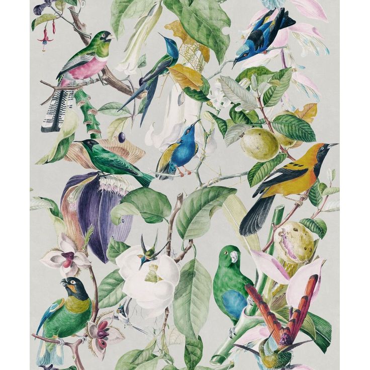 Paneelitapetti Mindthegap Tropical Birds, 1.56x3m