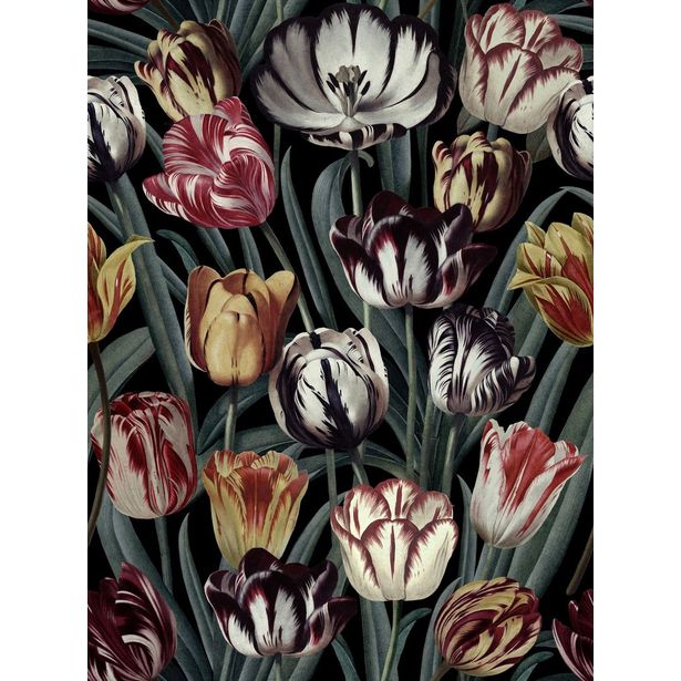 Paneelitapetti Mindthegap Tulipa Dark, 1.56x3m