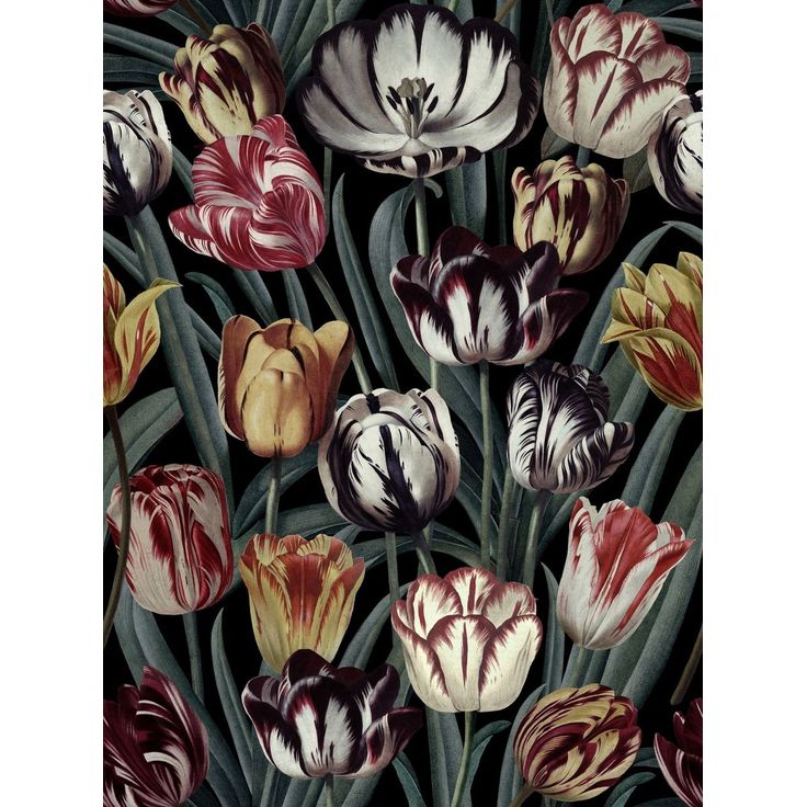 Paneelitapetti Mindthegap Tulipa Dark, 1.56x3m