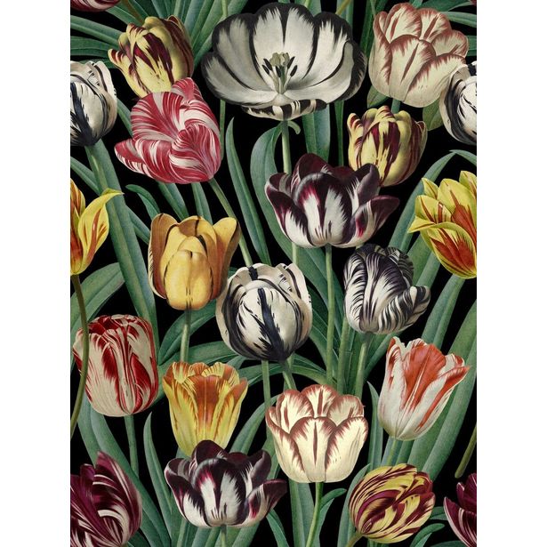 Paneelitapetti Mindthegap Tulipa, 1.56x3m