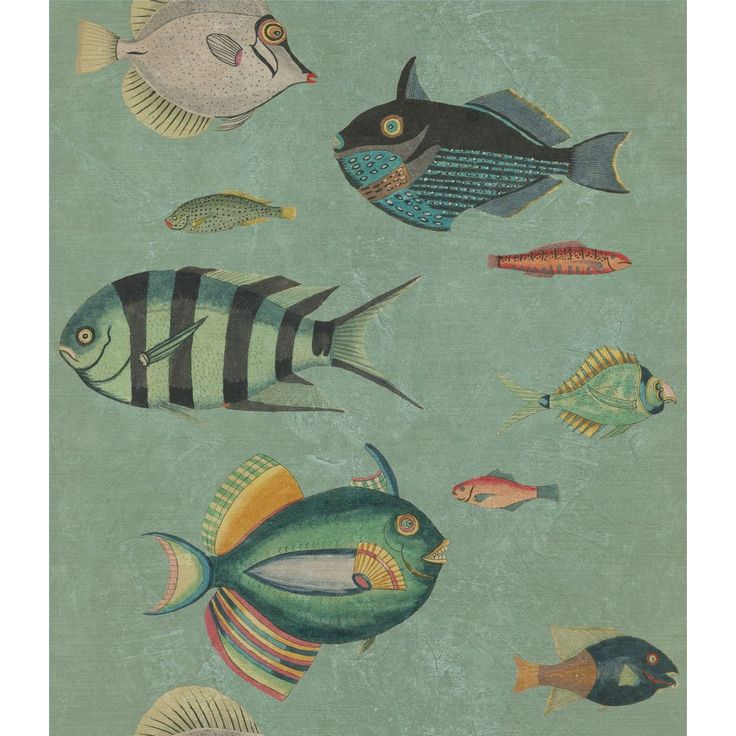 Paneelitapetti Mindthegap Poissons, 1.56x3m