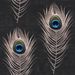Paneelitapetti Mindthegap Peacock, 1.56x3m (MTG-WP20230)