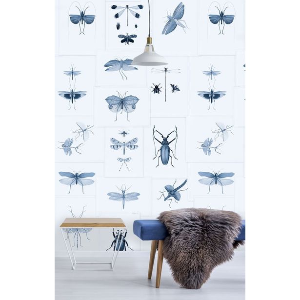Paneelitapetti Mindthegap Entomology Blue, 1.56x3m
