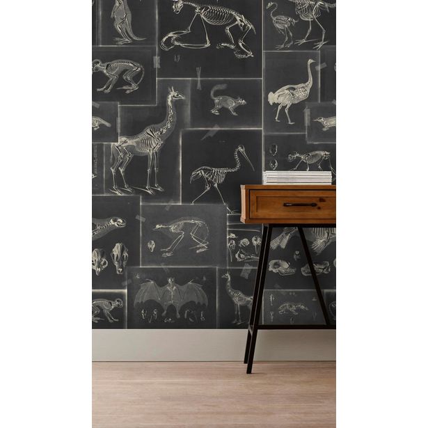 Paneelitapetti Mindthegap Zooarchaeology Anthracite, 1.56x3m