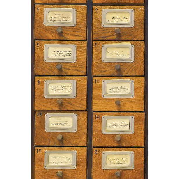 Paneelitapetti Mindthegap Apothecary, 1.56x3m