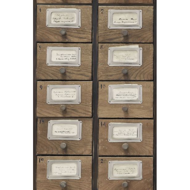 Paneelitapetti Mindthegap Apothecary Neutral, 1.56x3m