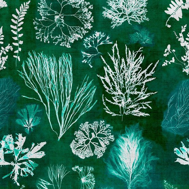 Paneelitapetti Mindthegap Algae, 1.56x3m, vihreä