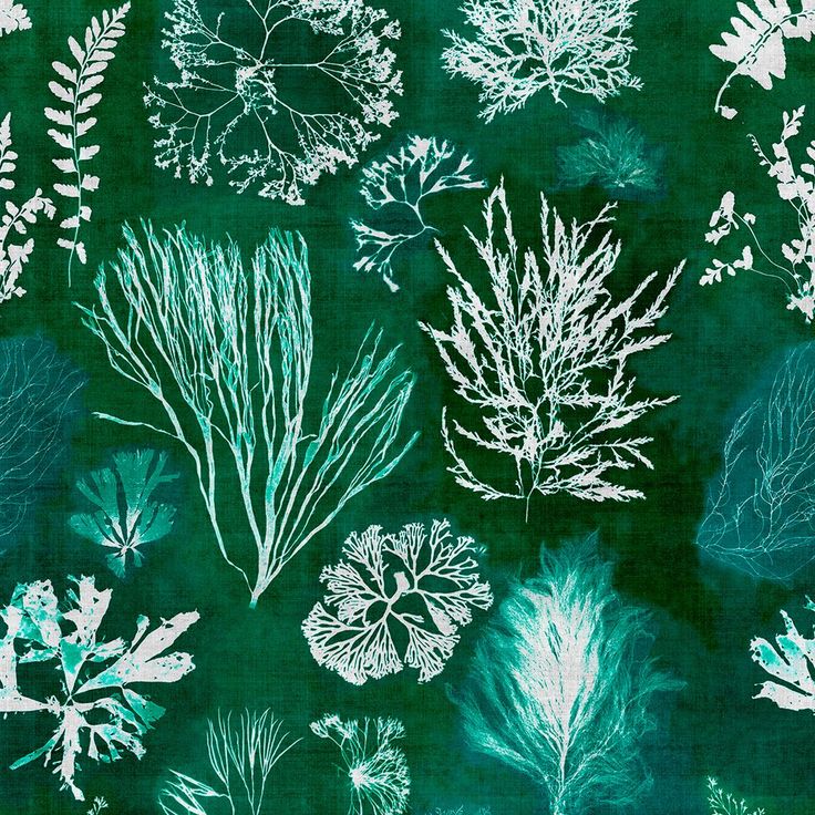 Paneelitapetti Mindthegap Algae, 1.56x3m, vihreä