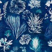 Paneelitapetti Mindthegap Algae, 1.56x3m, sininen