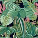 Paneelitapetti Mindthegap Tropical foliage, 1.56x3m, musta (MTG-WP20366)