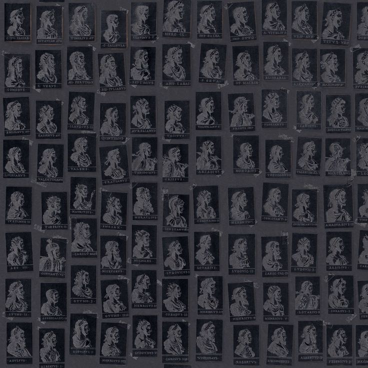 Paneelitapetti Mindthegap Emperors, 1.56x3m, harmaa