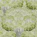 Paneelitapetti Mindthegap Savage Leaves, 1.56x3m, vihreä (MTG-WP20445)