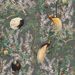 Paneelitapetti Mindthegap Royal Garden, 1.56x3m, harmaa (MTG-WP20456)