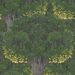 Paneelitapetti Mindthegap Savage leaves, 1.56x3m, tummanvihreä (MTG-WP20466)