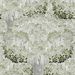 Paneelitapetti Mindthegap Savage leaves, 1.56x3m, harmaa (MTG-WP20467)