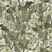 Paneelitapetti Mindthegap Tree Foliage, 1.56x3m (MTG-WP20481)