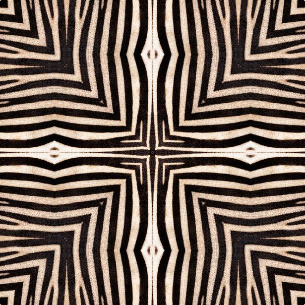 Paneelitapetti Mindthegap Serengeti, 1.56x3m