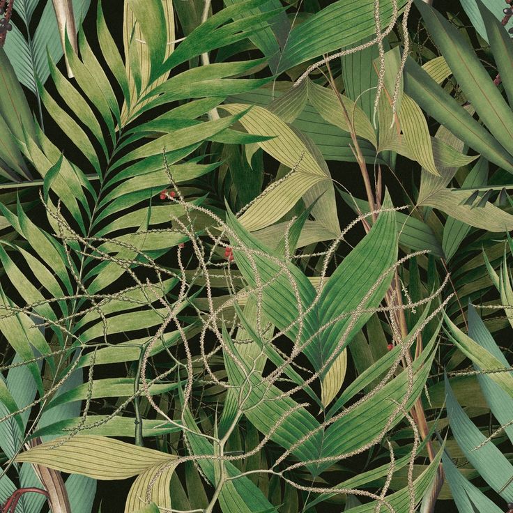Paneelitapetti Mindthegap Exotic garden, 1.56x3m