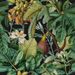 Paneelitapetti Mindthegap Figs and dates, 1.56x3m (MTG-WP20517)