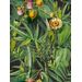 Paneelitapetti Mindthegap Luscious flora, 1.56x3m (MTG-WP20518)