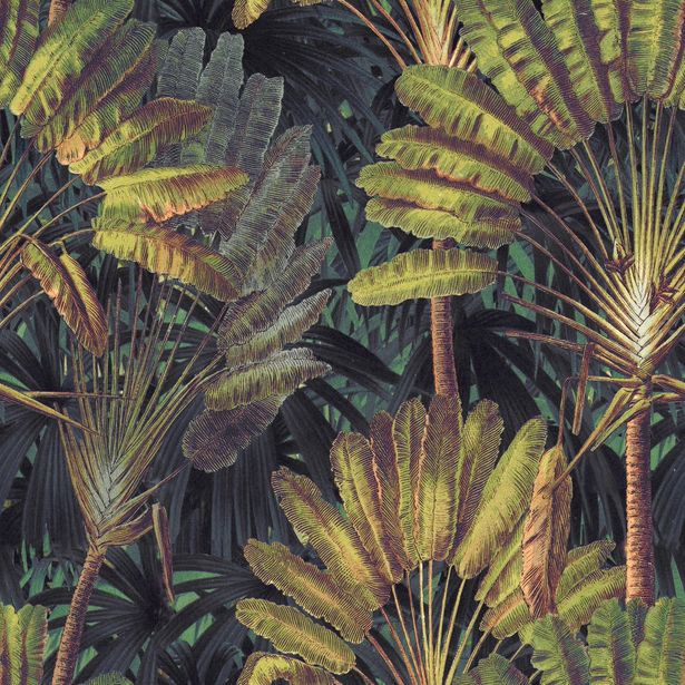 Paneelitapetti Mindthegap Traveller's palm, 1.56x3m, musta