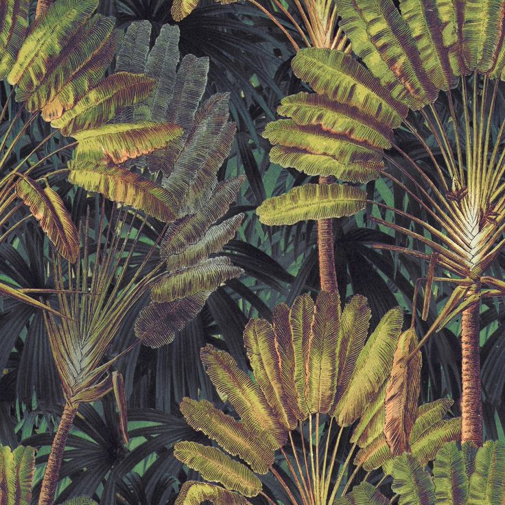 Paneelitapetti Mindthegap Traveller's palm, 1.56x3m, musta